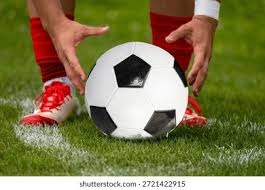 布莱斯·哈珀击败索托与弗里曼，夺得职业生涯第二座国联 MVP 奖座